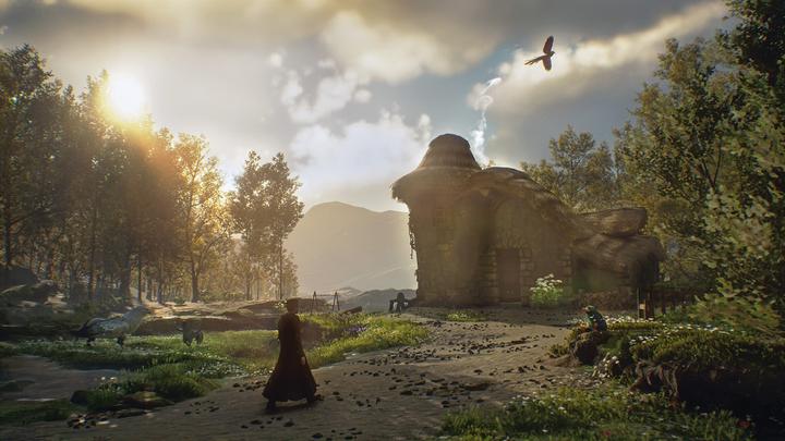 Image du produit WB Hogwarts Legacy (Xbox Series X, DE, FR)