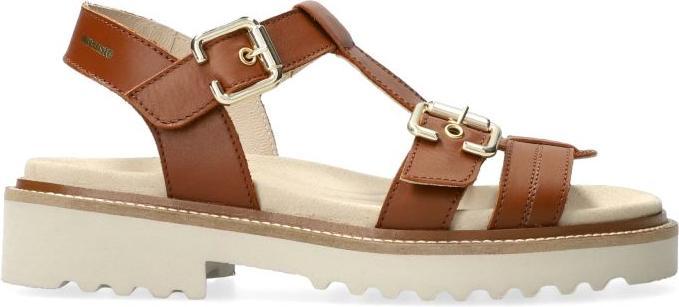 Marron