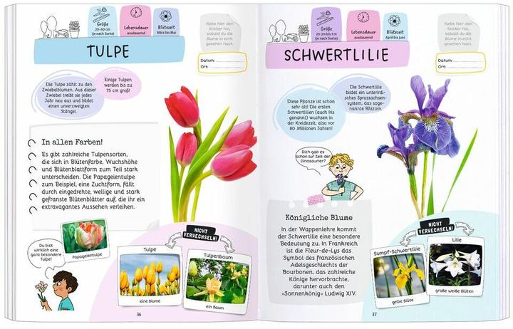 Image du produit Expedition Natur Rätseln, Stickern, Bestimmen - Blumen (Allemand, Mary Gribouille, Sandra, Lebrun, 2024)