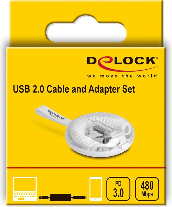 Actual product image Delock 5 in 1 USB data and charging cable and adapter set PD 3.0 60 W white (0.10 m, USB 2.0)