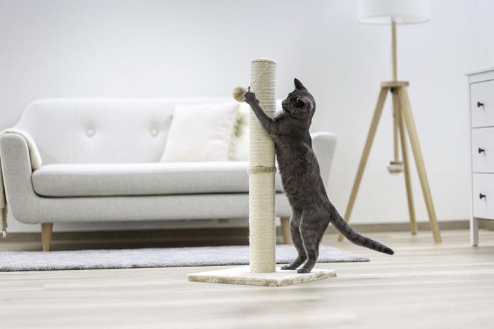 Image du produit Kerbl Opale (78 cm, Beige)