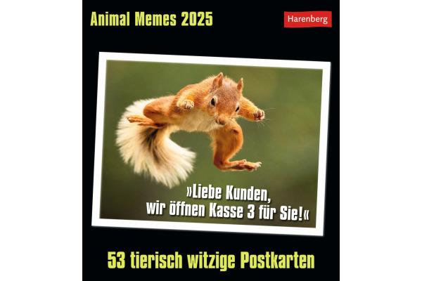 Actual product image Harenberg Animal Memes Postcard Calendar 2025 - 53 funny animal postcards (16 x 17.5 cm, No binding, English, German)