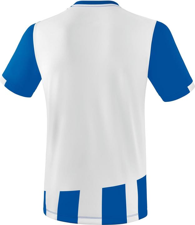 Actual product image Erima Siena 3.0 jersey (164)