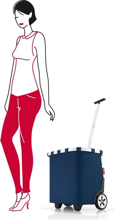 Actual product image reisenthel Carrycruiser
