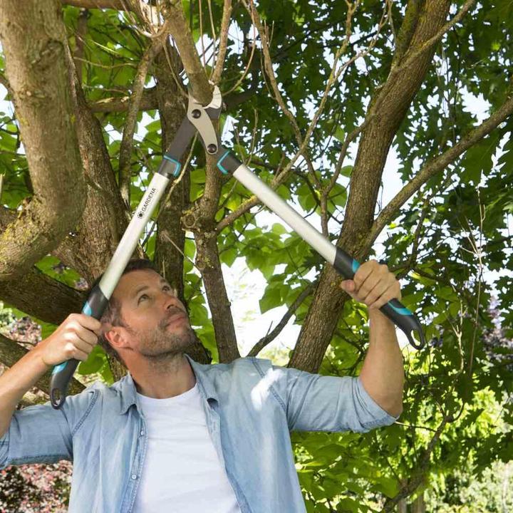 Productafbeelding Gardena Snoeischaar EnergyCut 750A