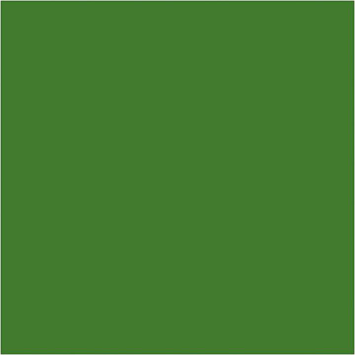 Immagine prodotto Creativ Company Tintura tessile (Verde oliva, 500 ml)