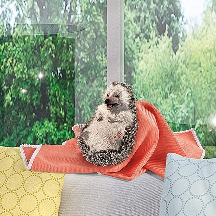 Produktbild Spontex Fenstertuch Microfibre (1 Stk.)