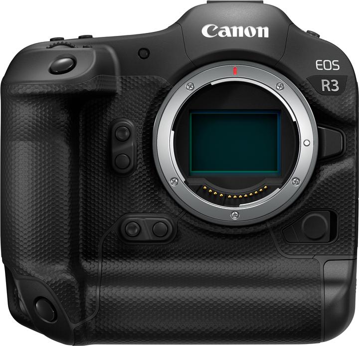 Canon EOS R3 (24.10 Mpx, Full frame)