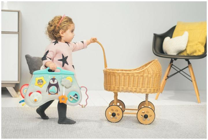 Image du produit Taf Toys Pôle Nord