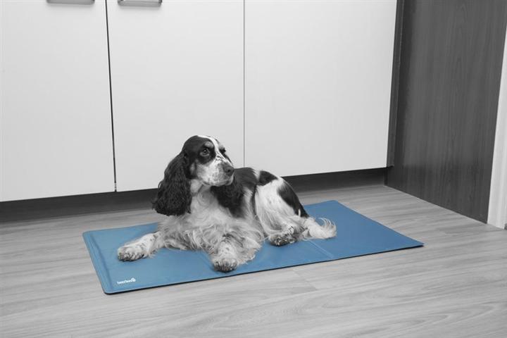 Immagine prodotto Beeztees Tappetino di raffreddamento Quick (Cane)