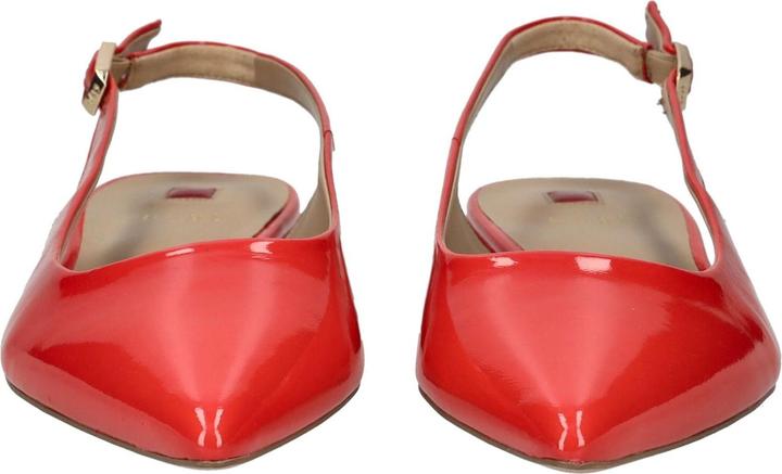 Actual product image Högl Pumps (38)
