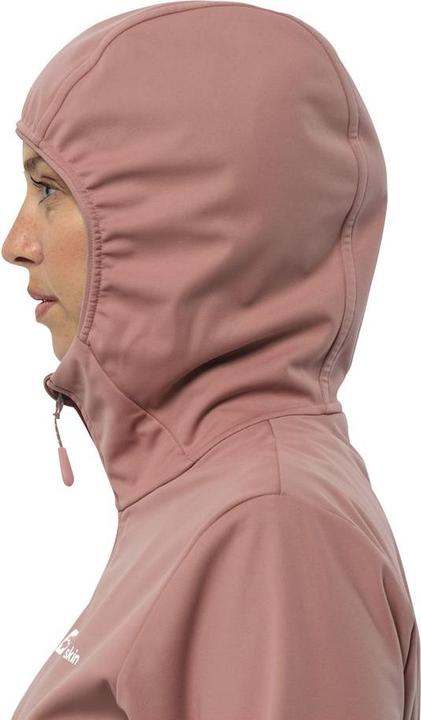 Immagine prodotto Jack Wolfskin Feldberg Hoody W (L)