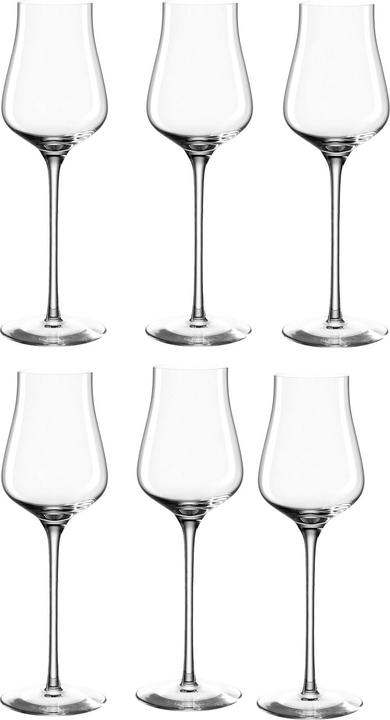 Leonardo Grappa glass Brunelli 210 ml, 6 pieces, transparent (21 cl, 6 Glasses, Red wine glasses)