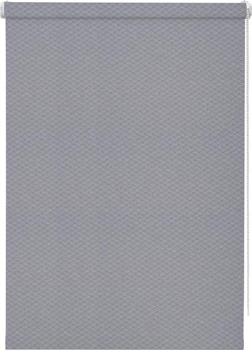 Image du produit Gardinia Store EasyFix sans percer Lilly Green gris 75x160 avec support de fixation (75 x 160 cm)