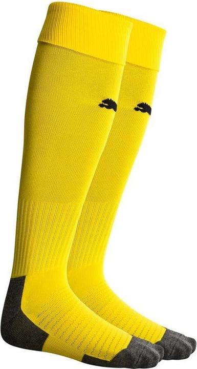Actual product image Puma Team LIGA Socks CORE-703441 (35, 39)