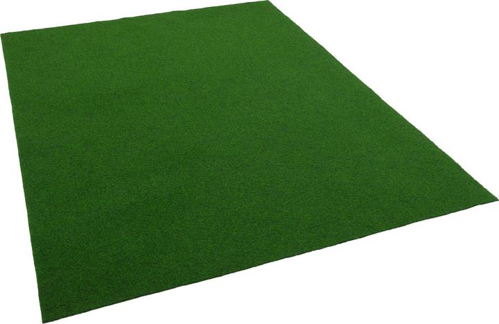 Image du produit Snapstyle Kunstrasen Rasenteppich mit Noppen Kingston (50 x 400 cm)