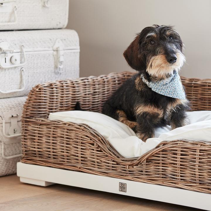 Image du produit Rivièra Maison RR Classic (Chien)