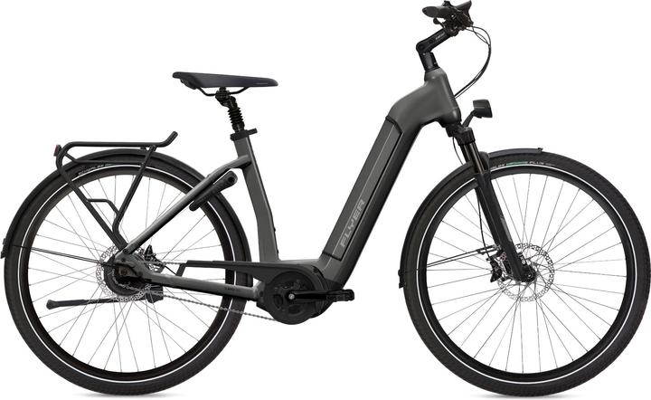 Immagine prodotto Flyer Gotour6 3.40 (49 cm)
