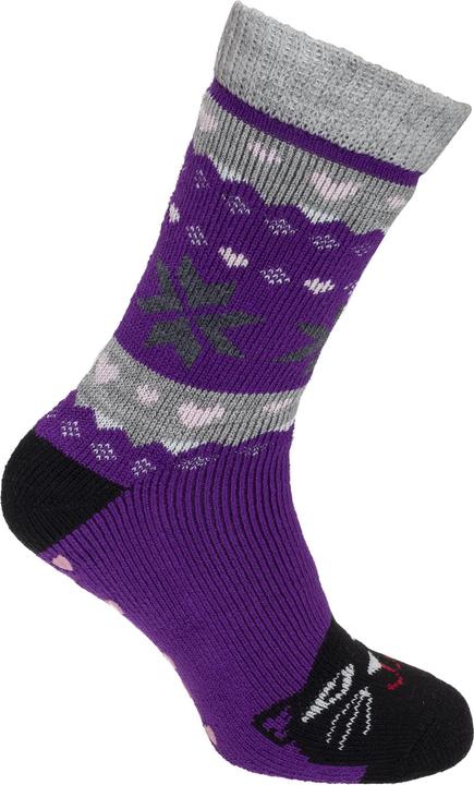 Viola