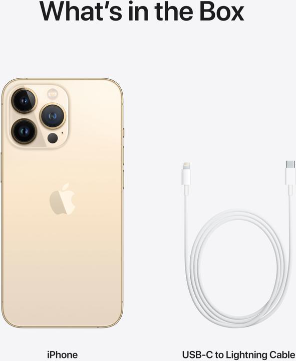 Image du produit Apple iPhone 13 Pro (256 Go, Or, 6.10", SIM + eSIM, 12 Mpx, 5G)