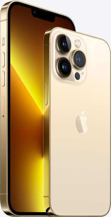 Image du produit Apple iPhone 13 Pro (256 Go, Or, 6.10", SIM + eSIM, 12 Mpx, 5G)