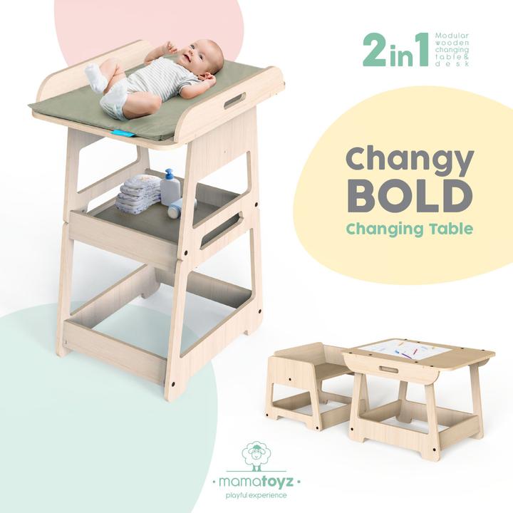 Actual product image MamaToyz Changy 2in1