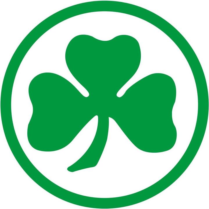 Image du produit Greuther Fürth Feuille de trèfle SpVgg (40 x 40 cm)