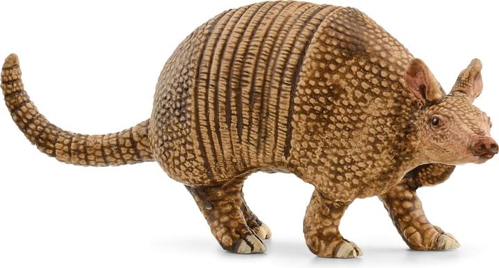Actual product image Schleich Armadillo