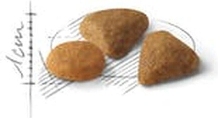 Actual product image Royal Canin Exigent Savour 35/30 (Adult, 1 pcs., 4000 g)