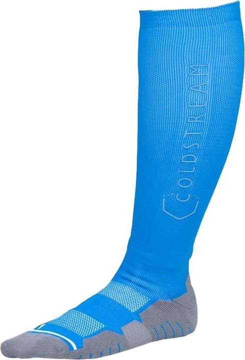 Actual product image Coldstream Morriston Performance Boot Socks (37 - 42)