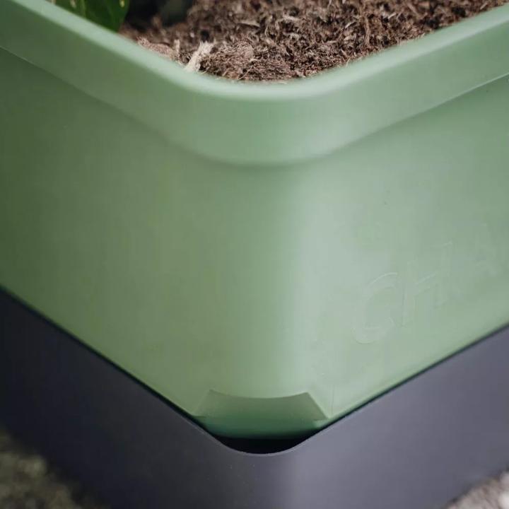 Immagine prodotto Gusta Garden Charly Chili (35 cm)
