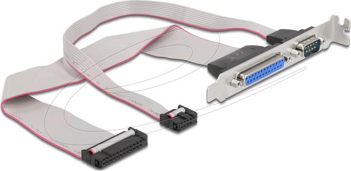 Actual product image Delock Slot bracket Parallel 1 x port + Serial 1 x port approx. 30 cm Assignment 1:1
