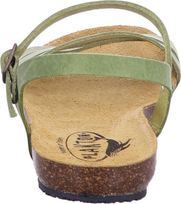 Immagine prodotto Plakton 575080 PISTACIO (40)