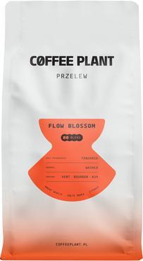 Image du produit Coffee Plant Filtre FLOW Blossom