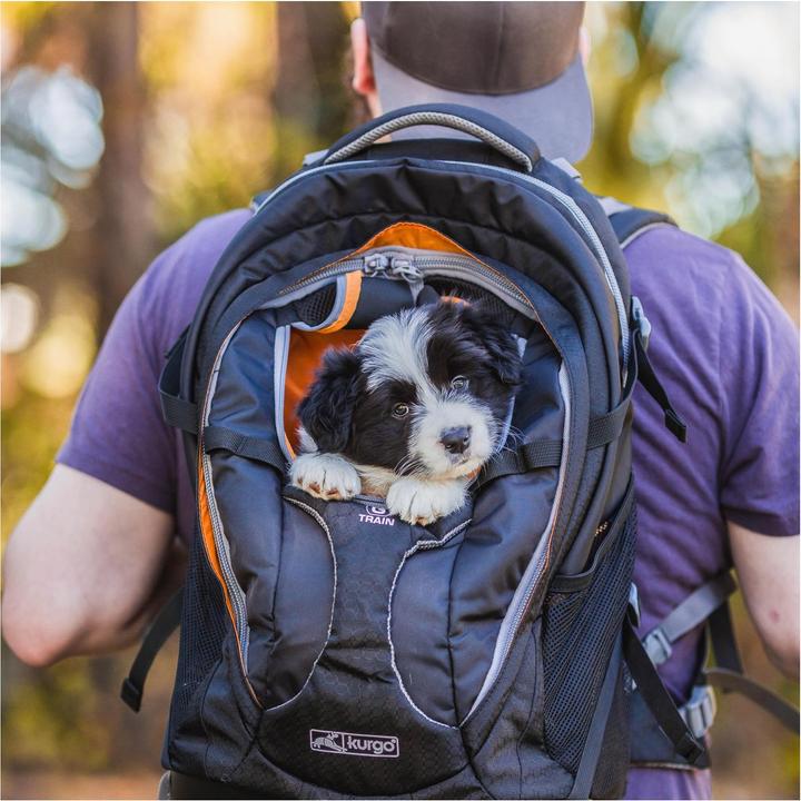 Actual product image Kurgo G-Train K9 (Dog, Machine washable, Breathable)