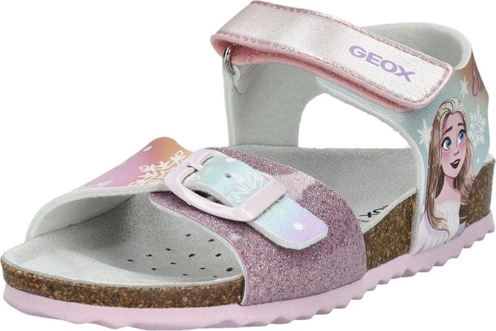 Rose C8004