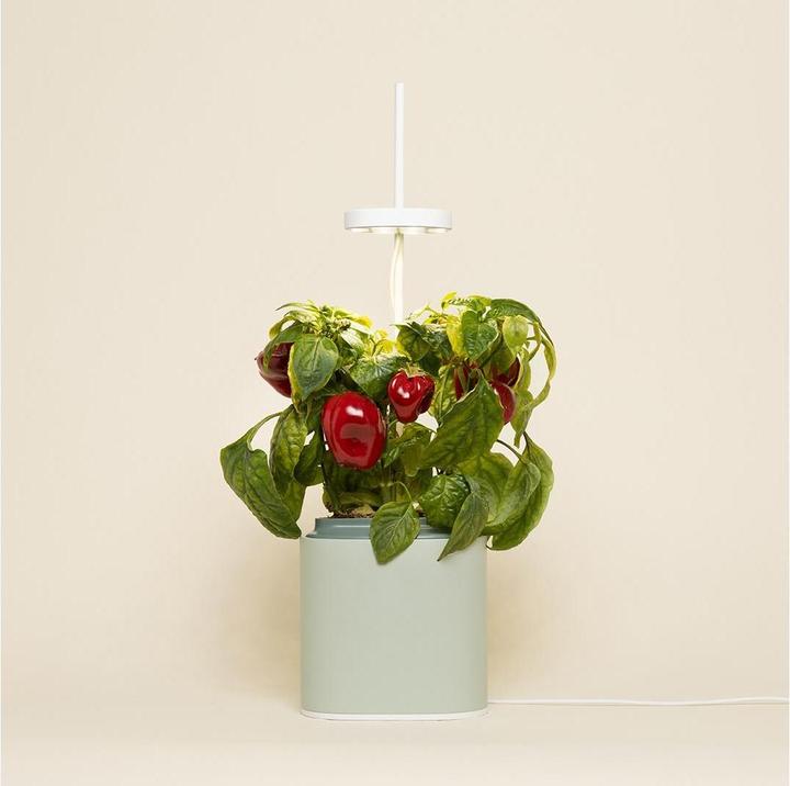 Produktbild Prêt à Pousser Kräutertopf Nano, Celadon Green (13.50 cm)