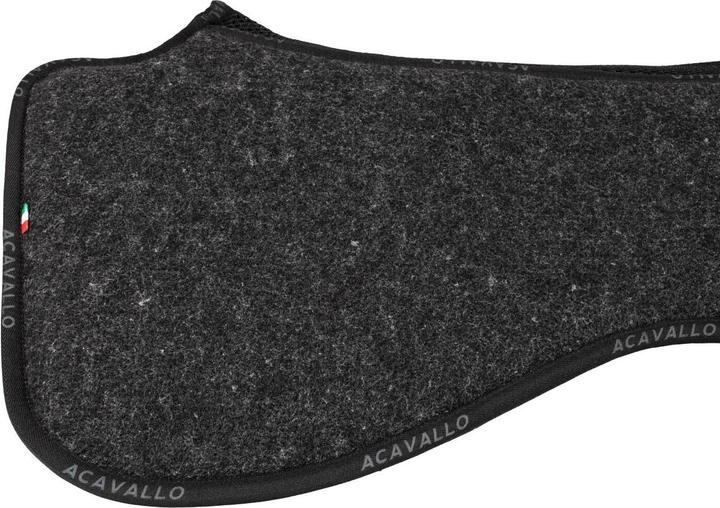 Acavallo Spine F.Mem.1/2