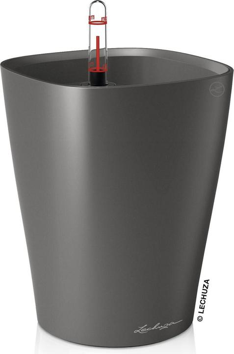 Lechuza Deltini (15 cm)