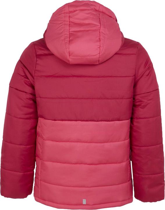 Actual product image Regatta Childrens/Kids Lofthouse VIII Insulated Jacket (158)