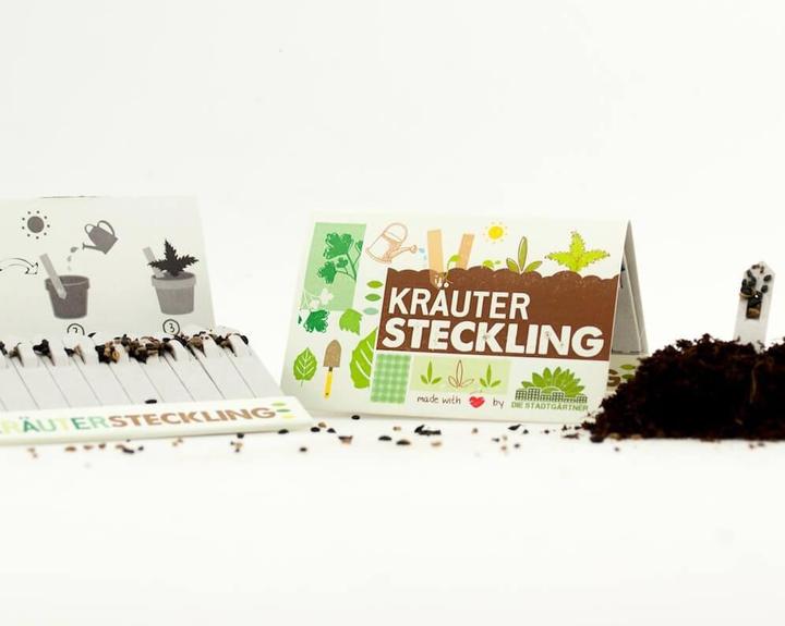 Actual product image Cuttings herbs (Herb seeds)