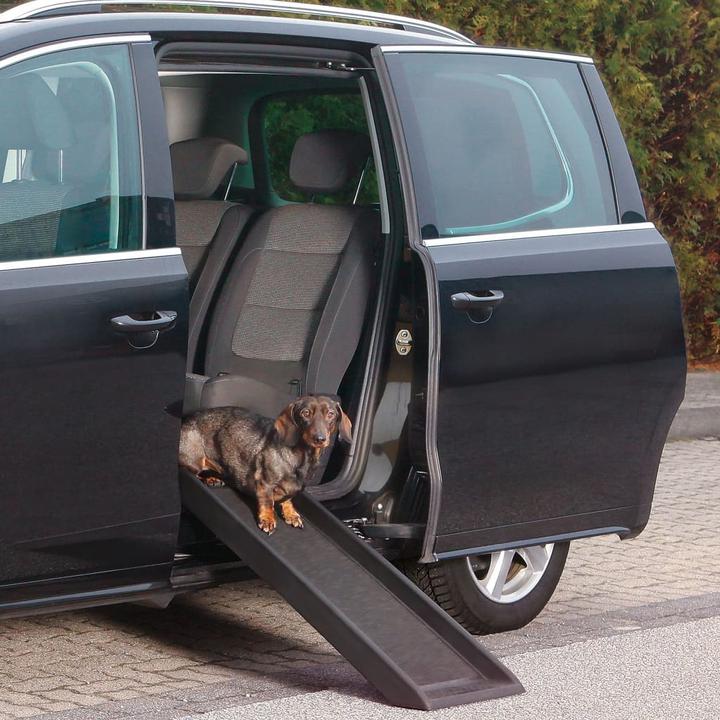 Actual product image Trixie Glasny (Dog)