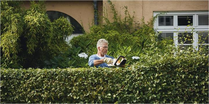 Actual product image Stihl HSA 45 (Cordless hedgecutters)