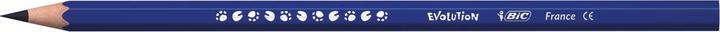 Produktbild Bic Kids Farbstifte Evolution (Mehrfarbig, 12 x)