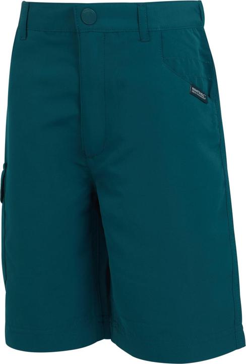 Image du produit Regatta - Short SORCER - Unisexe (170, 176)
