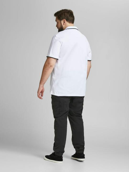 Actual product image Jack & Jones Paul Flake AKM 542 Plus Size Cargo Pants (44)