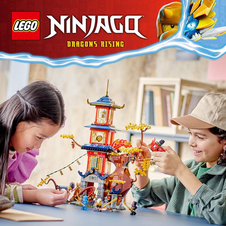 Actual product image LEGO NINJAGO - Temple of Dragon Power (71795, LEGO Ninjago)