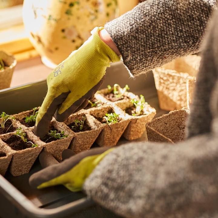 Actual product image Siena Garden Pricking out and propagation tray