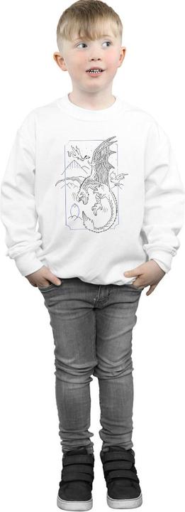 Immagine prodotto Dragon Line Art Felpa Ragazzi (152, 158)