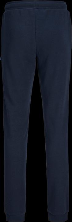 Immagine prodotto Jack & Jones JPSTELOGO SWEATPANTS 2COL 24/25 NOOS JNR (164)